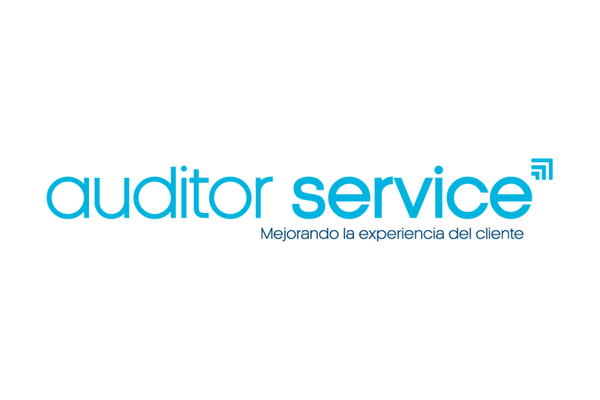 Auditor Service